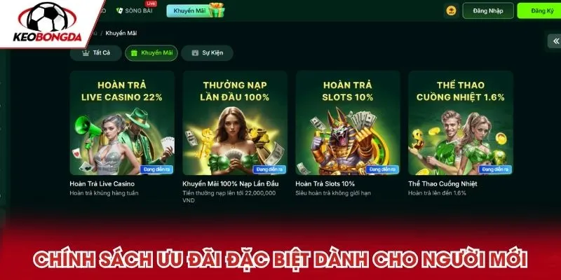 Chính sách ưu đãi đặc biệt của nhà cái dành cho hội viên