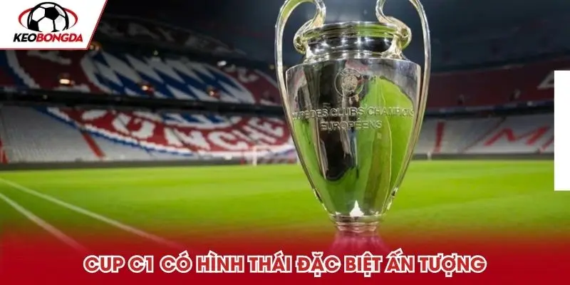 Cup C1 có hình thái đặc biệt ấn tượng