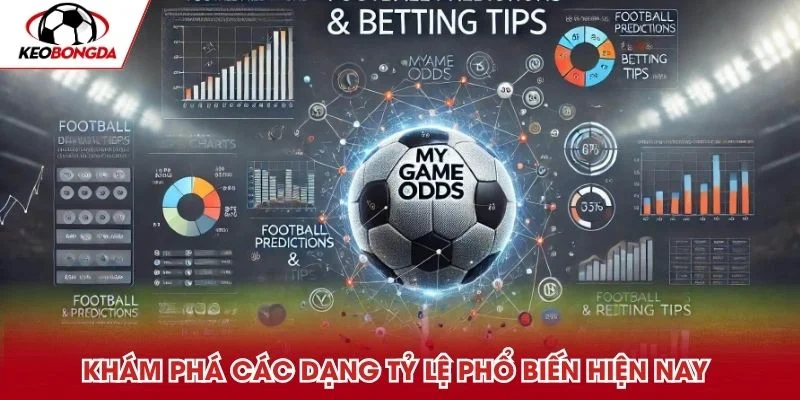 Khám phá các dạng tỷ lệ phổ biến hiện nay