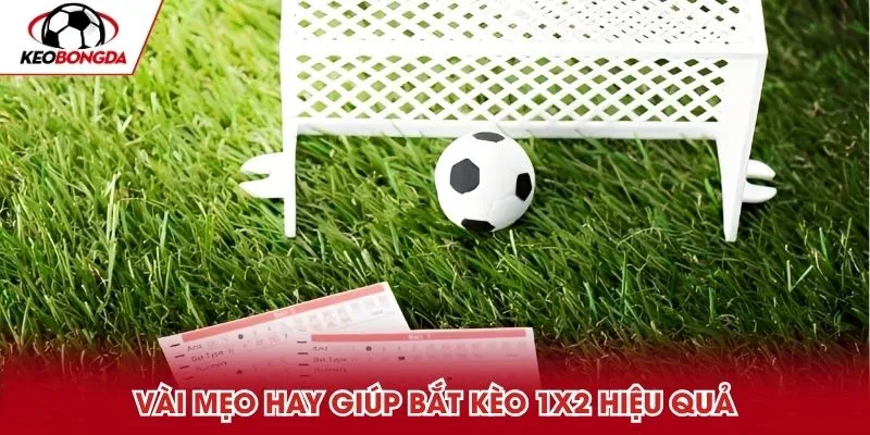 Vài mẹo hay giúp bắt kèo 1x2 hiệu quả