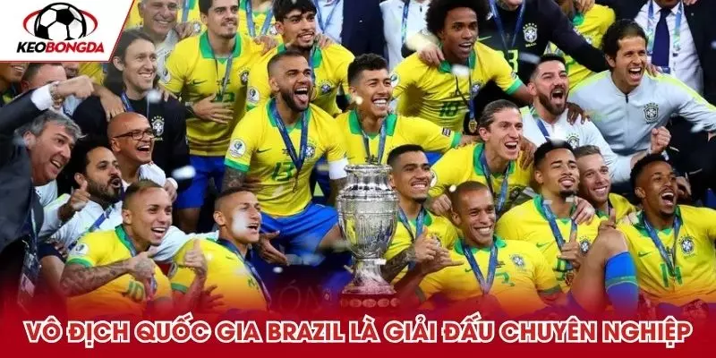 Vô địch quốc gia Brazil là giải đấu chuyên nghiệp