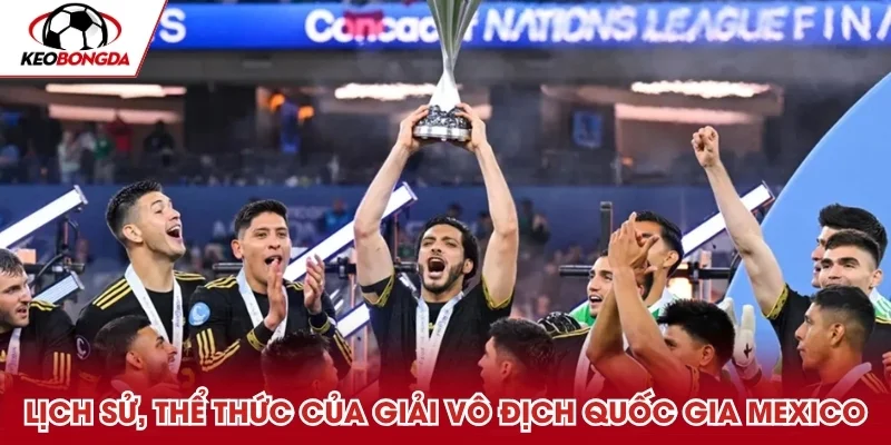 Tìm hiểu về lịch sử, thể thức của giải vô địch quốc gia Mexico